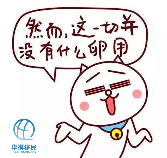 香港政府規定是規定，然并卵